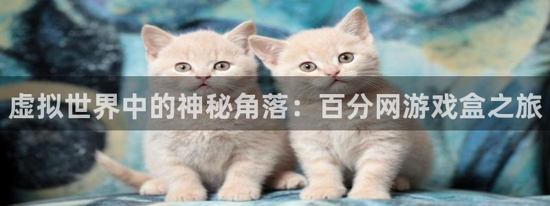 杏鑫平台正规吗是真的吗