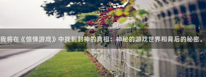 杏鑫注册地址：我将在《惊悚游戏》中找到封神的真相：神秘的游戏