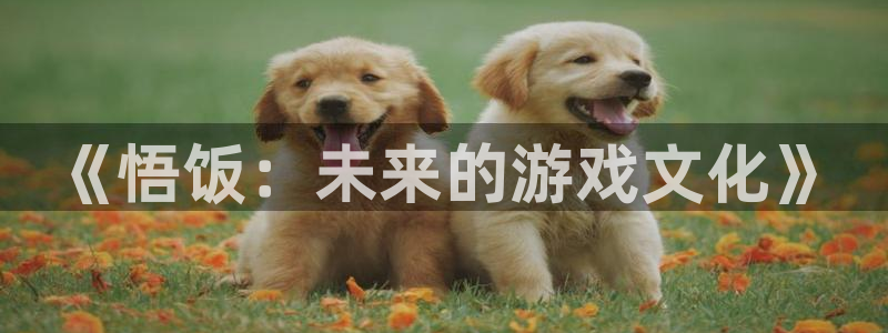 杏鑫注册平台官方网站入口查询