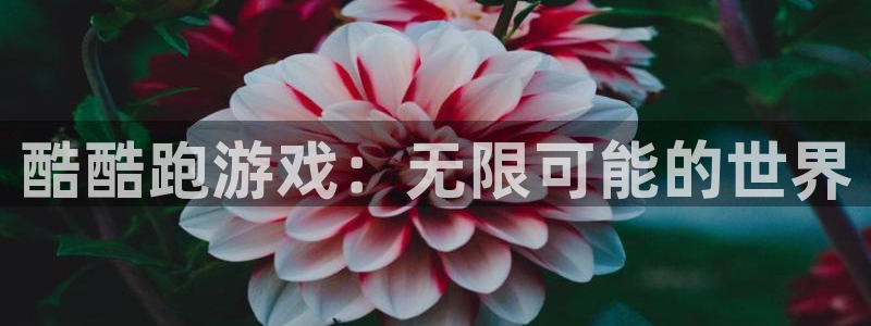 杏鑫娱乐多少年了