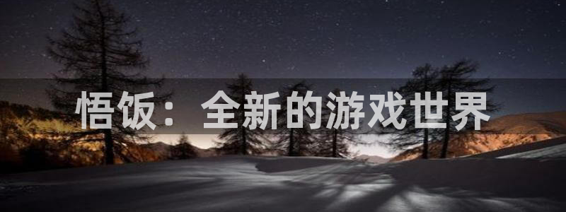 杏鑫平台注册登录入口官网