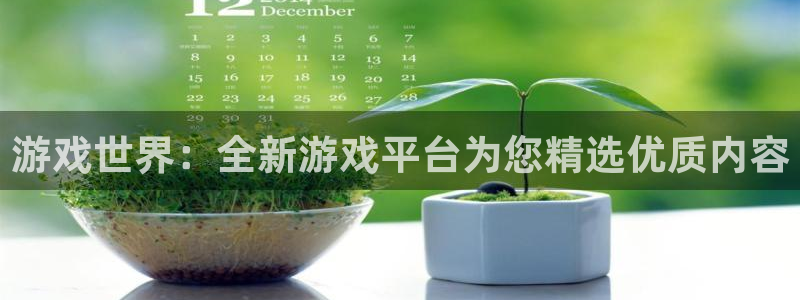 杏鑫平台怎么样