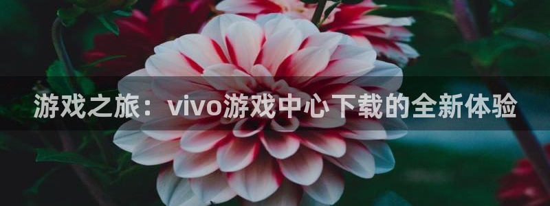 杏鑫娱乐内部：游戏之旅：vivo游戏中心下载的全新体验