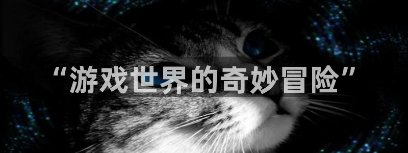 杏鑫平台总代理