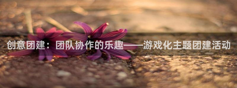 杏鑫注册平台官方网站是什么：创意团建：团队协作的乐趣——游戏