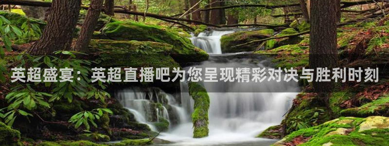咪咕体育免费高清直播入口：英超盛宴：英超直播吧为您呈现精彩对决与胜利时刻